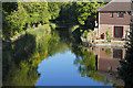 Basingstoke Canal, Horsell