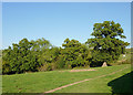 Pasture north-east of Upper Arley, Worcestershire