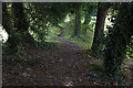 Path across the golf course, Esher