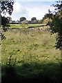 Fields at Simpson Green, viewed from Leeds and Liverpool Canal, near Milman Lane Swing Bridge