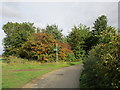 Approaching Wellingley Grange