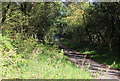 Old road below dam, Pen-y-fan Pond