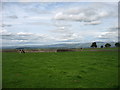 Fields near Sandriggs Farm