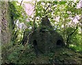 Blast Furnaces at Banwen Ironworks