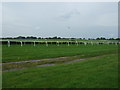 Carlisle Racecourse