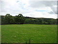 Fields in West Allendale