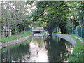 The New River between Highfield Road and Carpenter Gardens, N21