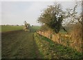 Bridleway near the Leach