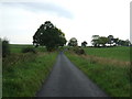 Minor road near Blackrack Bridge