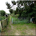 Track beyond the southern end of Quarry Road, Ryde