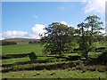 Field, Kirkhill