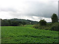 Farmland near Coul