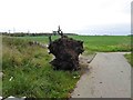 Turn right at this tree stump