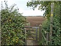 Public footpath sign and gate