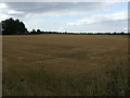 Stubble field, Blunham