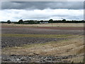 Farmland at Meckphen