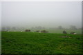 View into Bishopdale