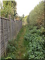 Footpath - Skipton Road