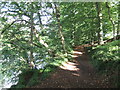 Riverside path, Armathwaite