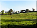 Clontyfallow Townland