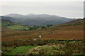 NY1802 : Coffin Road on Eskdale Fell by Peter Trimming