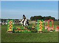 SJ5567 : Kelsall Hill Horse Trials: showjumping arena by Jonathan Hutchins