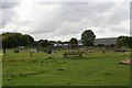 Horse paddock on site of former R.A.F.Goxhill