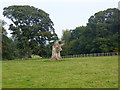 Tree stump in the grounds of Broadmeadows House