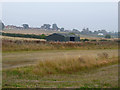 Barn and field of stubble at Foulden Newton