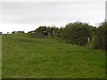 Cow pasture near Cunninghamhill