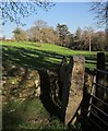 Gateposts, wall and field, Stonaford