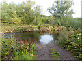 Ford on the River Whiteadder near Paxton