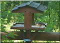 Nuthatch on the bird table at Hoardland cottage