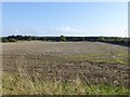 NZ2393 : Arable field with stubble by Russel Wills