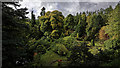 Autumnal colours at Kildrummy Castle Gardens viewed from bridge