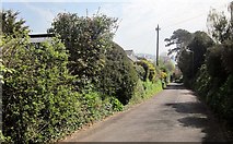 SX9063 : Huxtable Hill, Chelston by Derek Harper