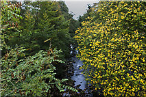 SD5153 : The River Wyre at Lower Dolphinholme Bridge by Ian Greig