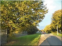 TL3910 : Rye Road, Rye Meads by David Howard