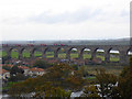 Train on the Royal Border Bridge