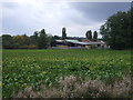 Crop field towards The Dairies