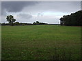 Crop field east of the A134