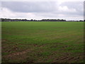 Farmland near West Farm