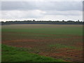 Flat farmland off the A134