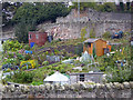 NU0052 : Allotments in Berwick by Oliver Dixon