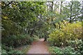 Path next to the Mere, Ellesmere