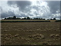 Stubble field off Heath Road