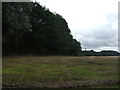 Stubble field beside woodland