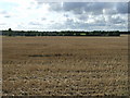 Stubble field near Peppertree Farm