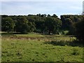 Farm in Stour Valley, Gasper