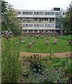 Nature garden, Benhill Road